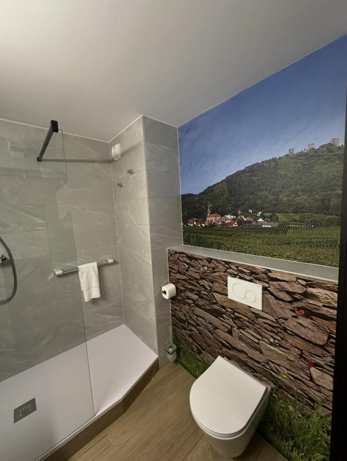 Hotel Colmar Vignes Eguisheim Exterior foto